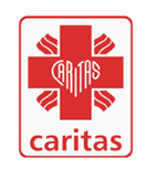 Chmura w Caritasie – rozwiązania z pakietu BPOS w działalności charytatywnej
