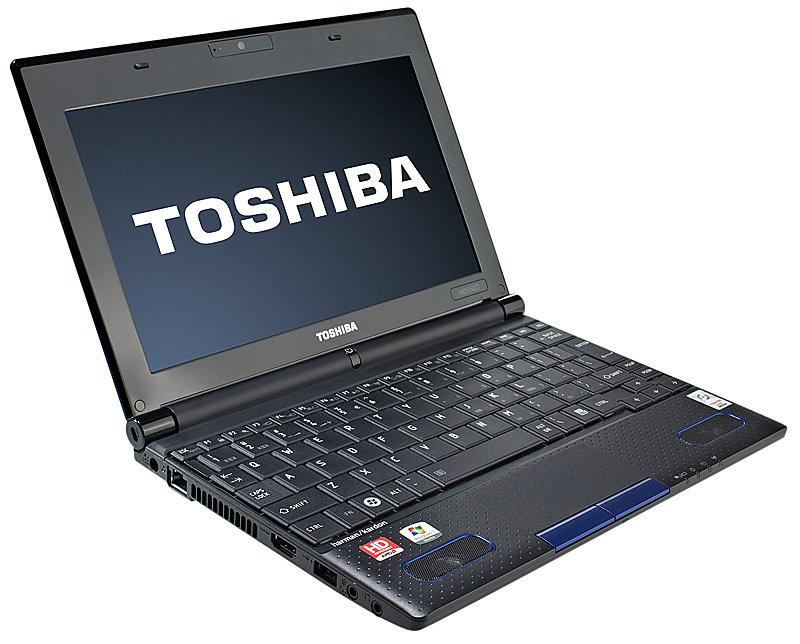 Toshiba Mini NB550D-10G